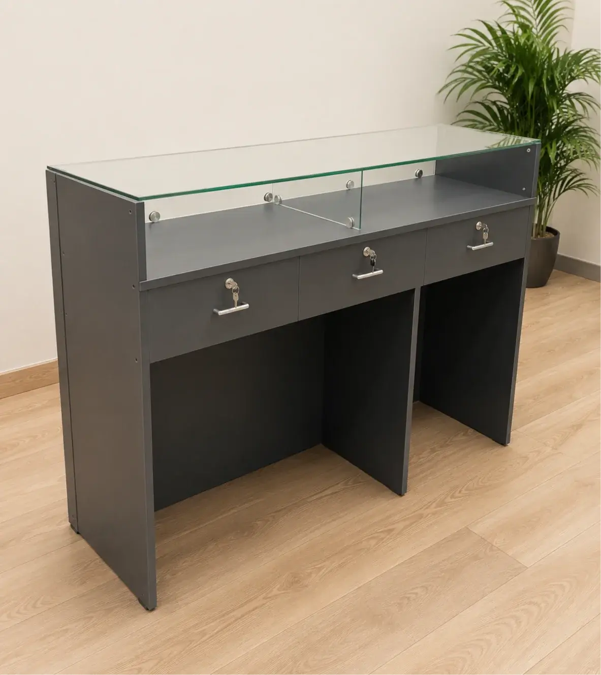 Product View 4