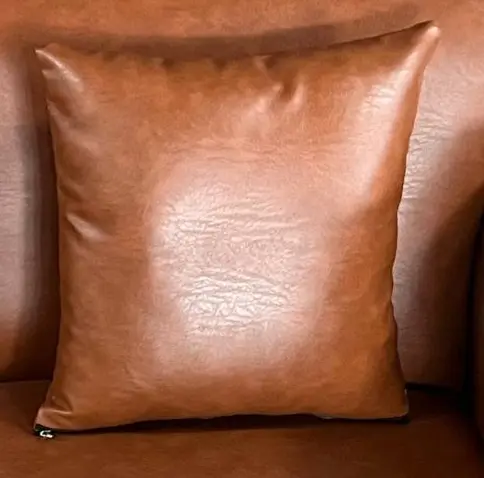 Small Sofa Pillow